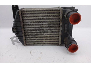 Интеркулер  NAO-VISIVEL   Fiat Punto (176) 