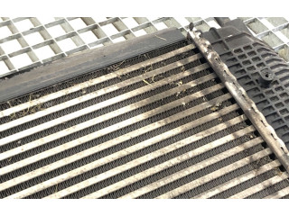 Интеркулер Skoda Octavia Mk2 (1Z)