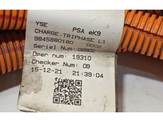 Блок управления 9845880180   Peugeot Partner III