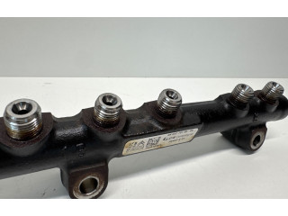 Топливная рампа 9804776780, 9676643880   Citroen C4 II Picasso  