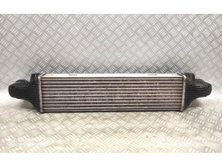 Интеркулер A2045000200 Ford Fiesta