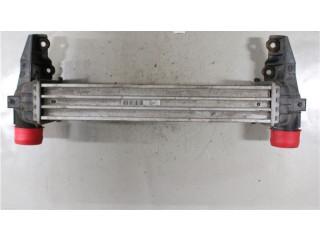 Интеркулер     Ford Transit -  Tourneo Connect 