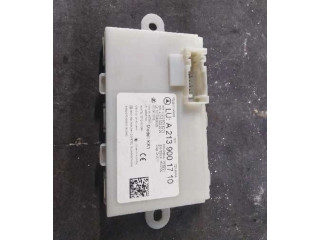 Řídící jednotka A2139001710, A2139001710 Mercedes-Benz E AMG W210 2016