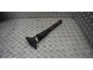 Задний aмортизатор      