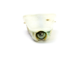 Řídící jednotka 37820-PEL-G01, 1304-110913 Honda HR-V 2000