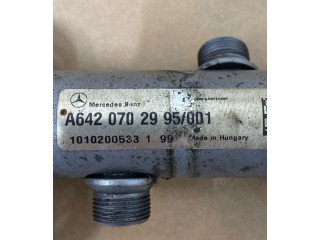 Vstřikovací lišta A6420702995, 1010200533 Mercedes-Benz E C207 W207