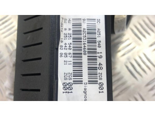 Панель приборов A2515401948, A2C53164608   Mercedes-Benz R W251       