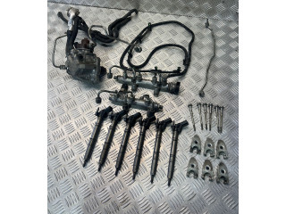 Комплект системы впрыска топлива 059130089BS, 059130090CA    Audi A6 S6 C7 4G   