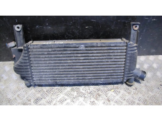 Интеркулер F6864, RAD046 Nissan Pathfinder R51 2.5