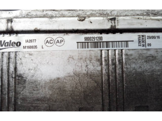 Интеркулер  9800291280, P2-A11-11   Peugeot 5008 