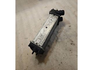 Интеркулер 9648551880, 1876923J Citroen C4 I