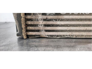 Интеркулер     Peugeot Partner III 