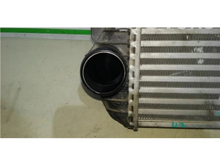 Интеркулер     Ford Transit -  Tourneo Connect 