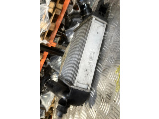 Интеркулер Dacia Duster