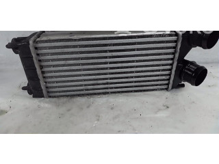 Радиатор интеркулера 00000384N9 Citroen C4 II