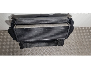 Вентилятор радиатора     52014708AD, 52014707AD    Jeep Grand Cherokee 