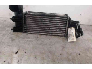 Интеркулер 384F3, 384F3 Peugeot 607