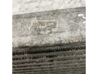 Интеркулер  A2045000100   Mercedes-Benz C W204 2.1