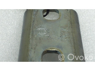 Задняя нижняя петля