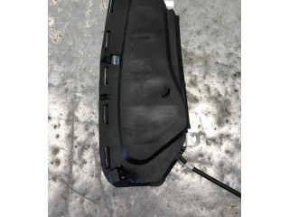 Подушка безопасности в сиденье 6Q0880242B   Skoda Fabia Mk2 (5J)