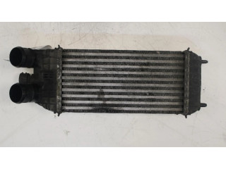 Интеркулер     Citroen C3 Picasso 1.6