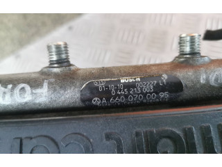 Топливная рампа A6600700095, 0001457V003 Smart ForTwo I