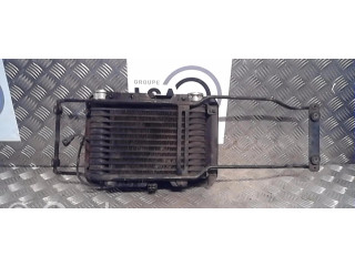 Интеркулер 1271000290 Mitsubishi Pajero 2.5