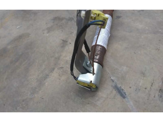 Надувная подушка для передней двери 4E880742   Audi A8 S8 D3 4E