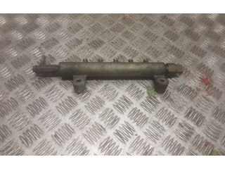 Топливная рампа 11E81305   Nissan X-Trail T30   для двигателя 1