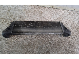 Vstřikovač 2247966, 51224796602 BMW X5 E53