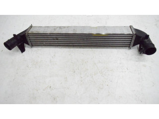 Интеркулер     Seat Ibiza IV (6J,6P) 