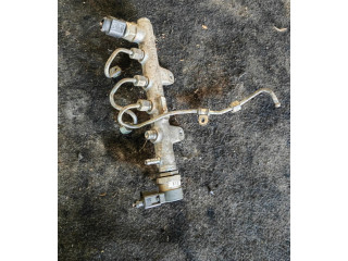 Топливная рампа Skoda Fabia Mk3 (NJ) для двигателя Cuta