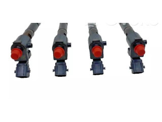 Комплект форсунок 36010090, VEA132370010CAA Volvo S60 D 4204 T14