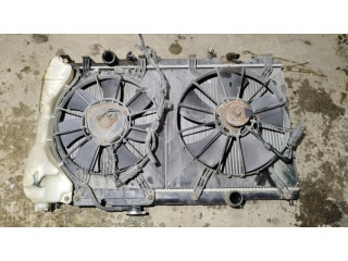 Панель радиаторов (телевизор)