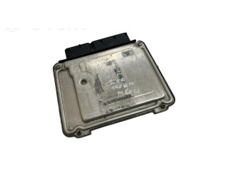 Řídící jednotka 96858577, 5070240312 Chevrolet Captiva 2008