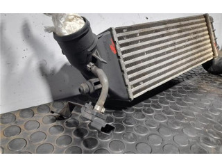 Интеркулер 1489396080 Citroen C8