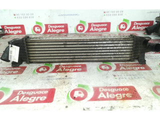 Интеркулер     Fiat Punto (199) 