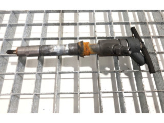 Комплект жиклеров (форсунок) 2995470 Fiat Ducato