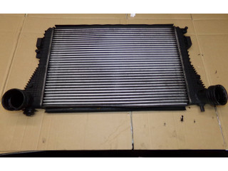 Интеркулер     Skoda Octavia Mk2 (1Z) 