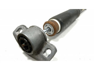 Задний aмортизатор      