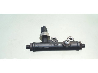 Топливная рампа 55PP0401 Jaguar S-Type 2.7