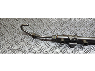 Топливная рампа 04E133320 Skoda Fabia Mk3 (NJ)