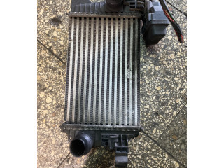 Интеркулер  T2935004, 21211   Opel Meriva B 