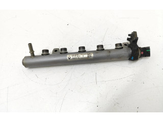 Топливная рампа 8201044829, 175216420R   Renault Scenic III -  Grand scenic III  