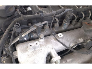 Топливная рампа 0281002507   KIA Sorento   для двигателя D4CB