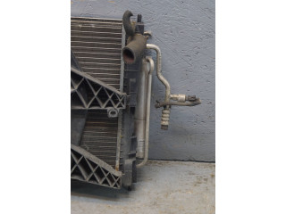 Вентилятор радиатора         Renault Twingo II 