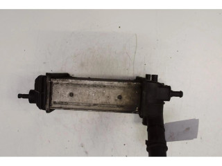 Интеркулер     Fiat Punto (188) 