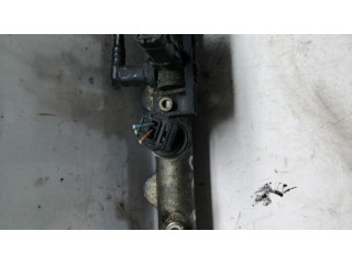 Топливная рампа 0445214017, 004861 Citroen C8 2.2