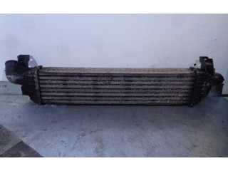 Интеркулер  4N5H9L440VF, 31280122   Volvo S40 