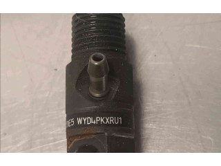 Форсунка 166000897R    Renault Clio III   